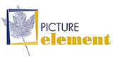 Picture Element Logo