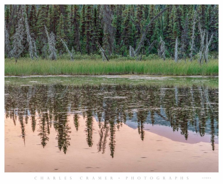 Evening, Small Pond, Chitina-McCarthy Road, Alaska