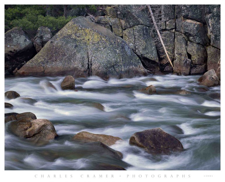 Tuolumne River, Fallen Tree, Yosemite
