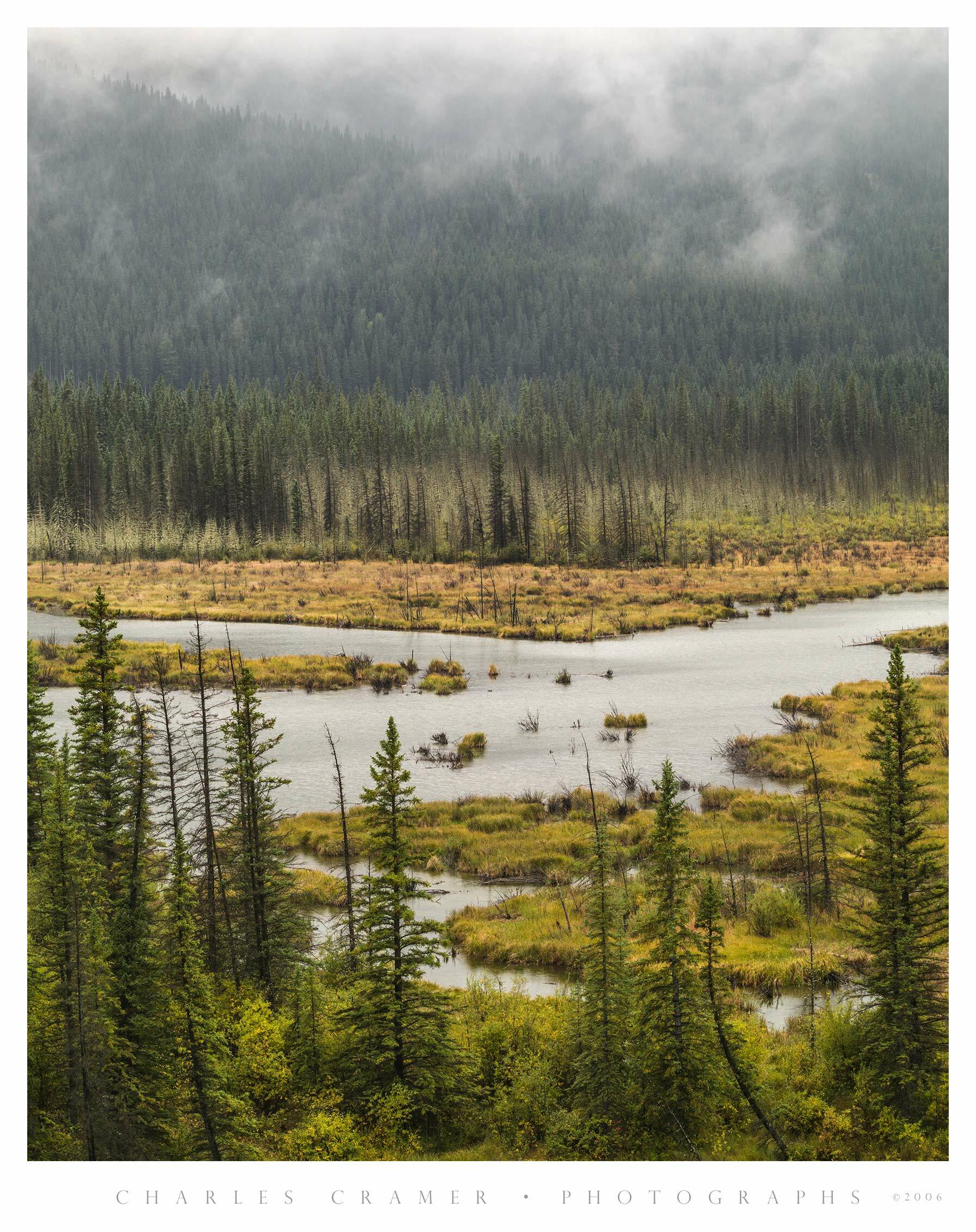 Mist, Trees, and River, Canadian Rockies