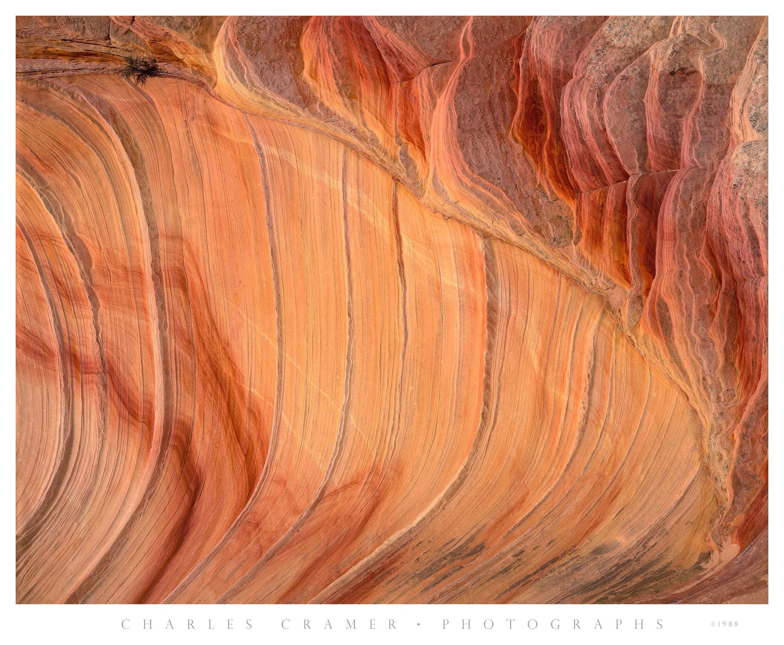 Sandstone Swirls and Streaks, Paria Wilderness, Utah
