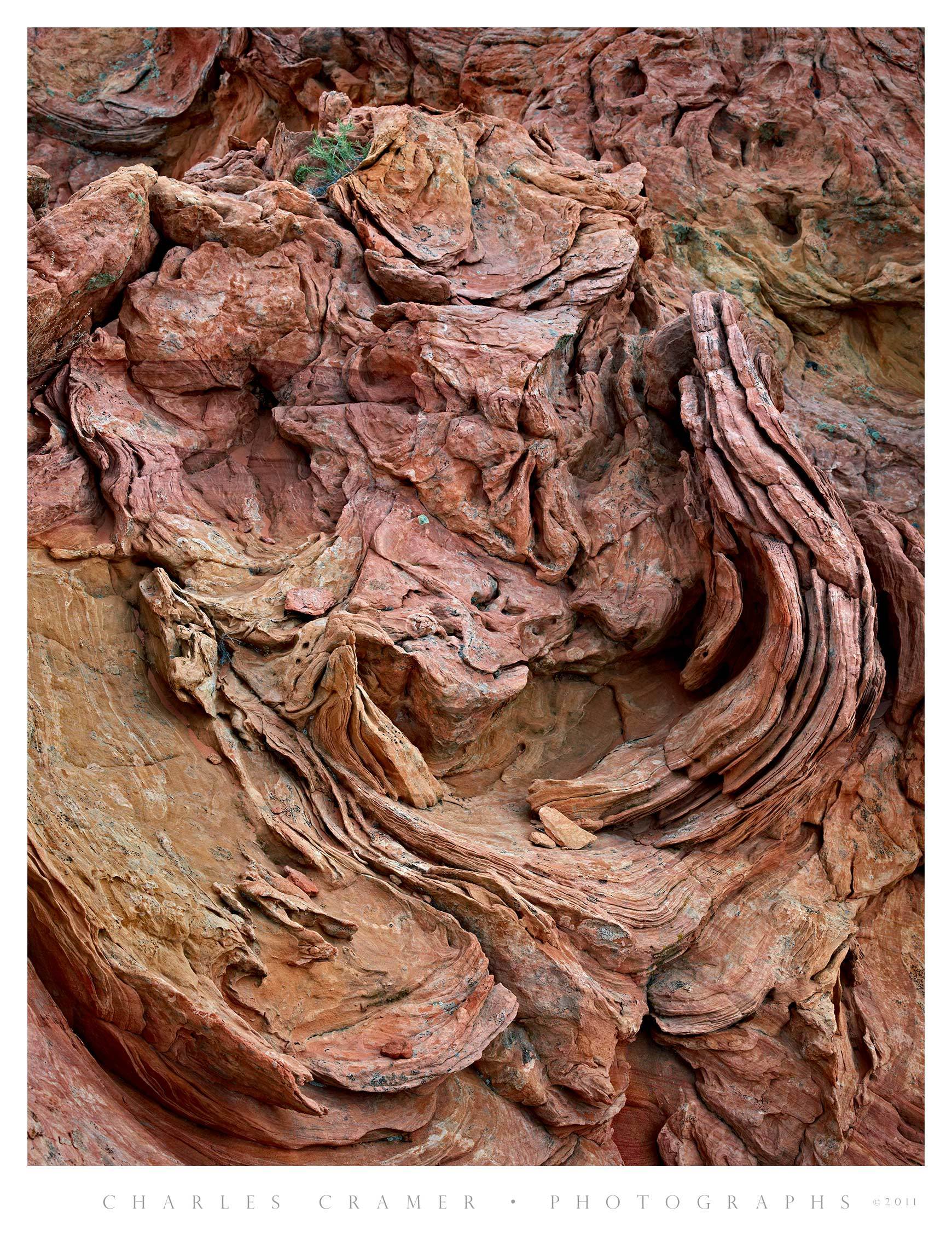 Curved Sandstone, Paria Wilderness, Utah