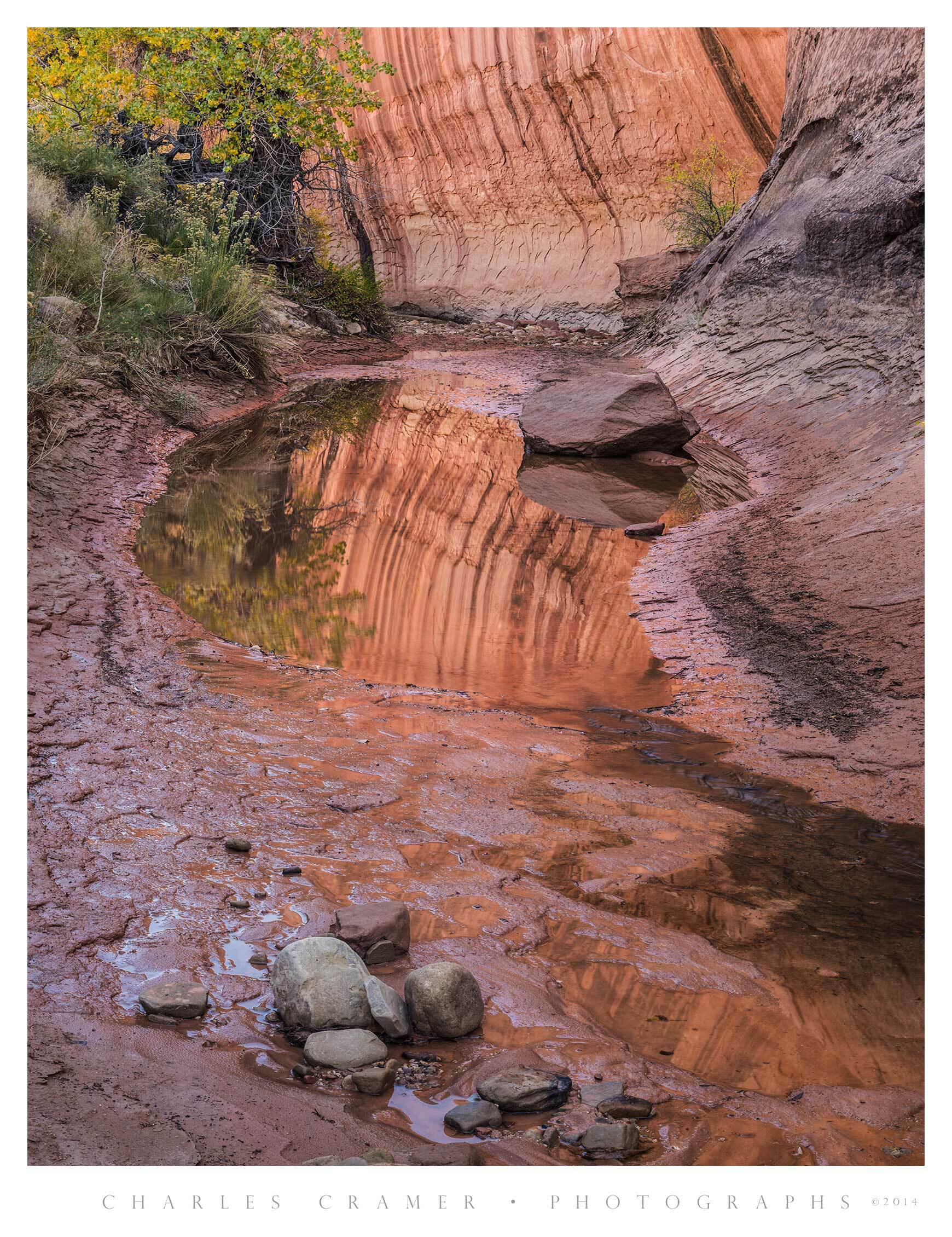 Pool with Reflection, Grand Staircase-Escalante, Utah