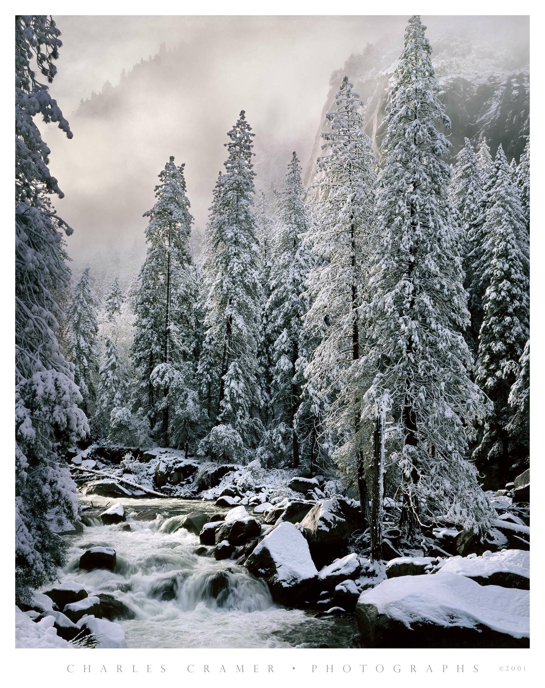 Clearing Snowstorm, Merced River, Yosemite