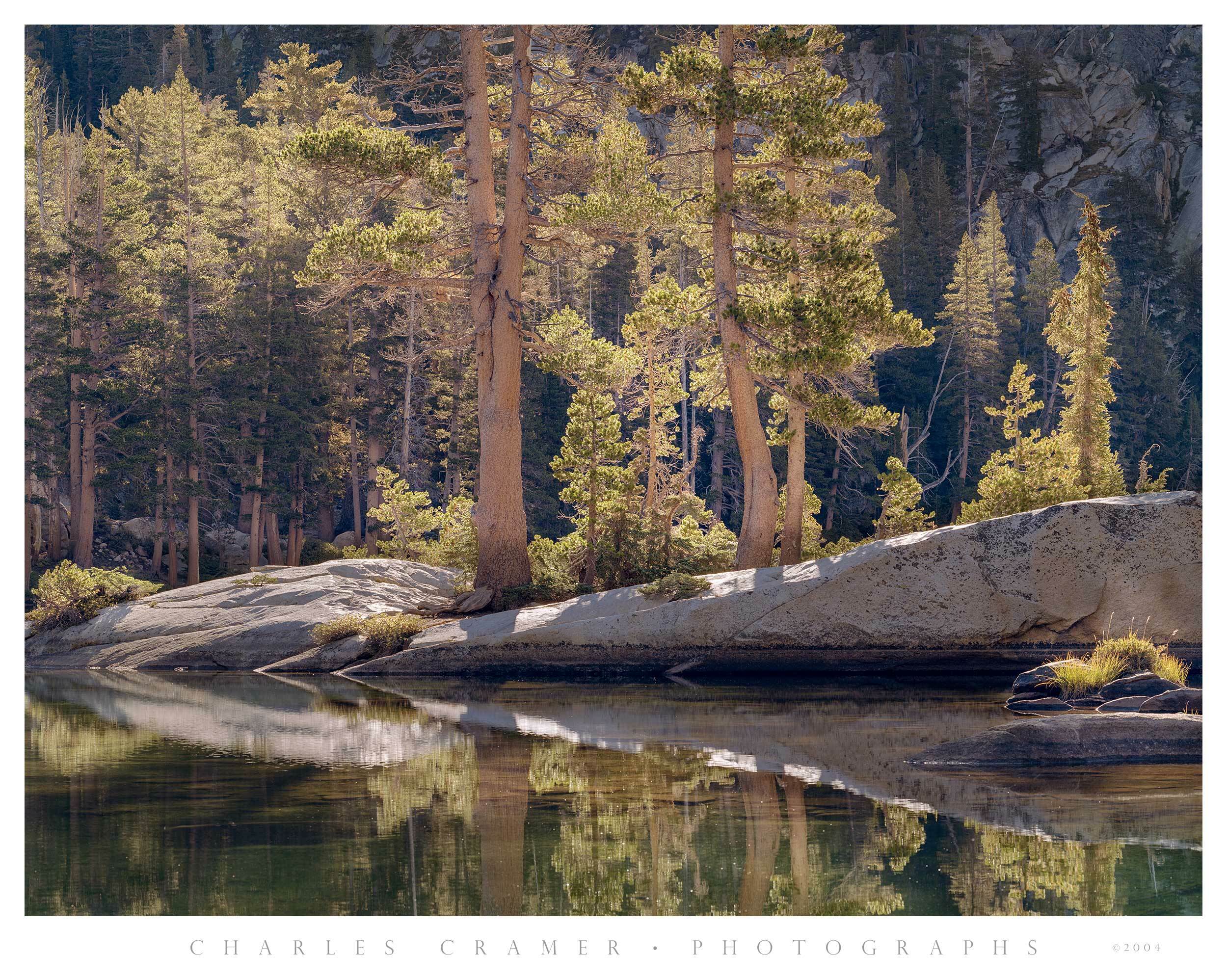 Backlit Pines and Granite, Ten Lakes Basin, Yosemite