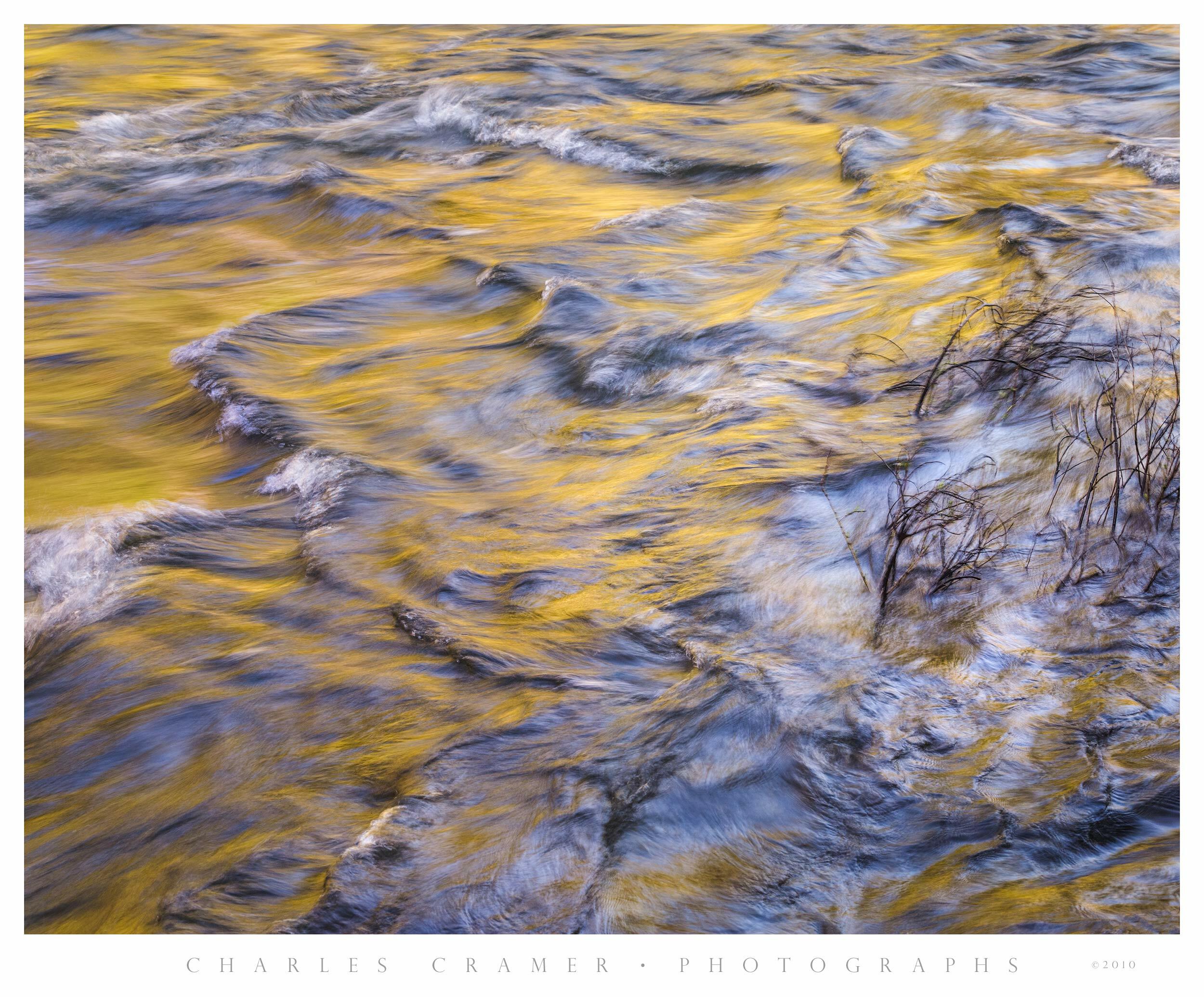 Spring Flow, Merced River, Bushes