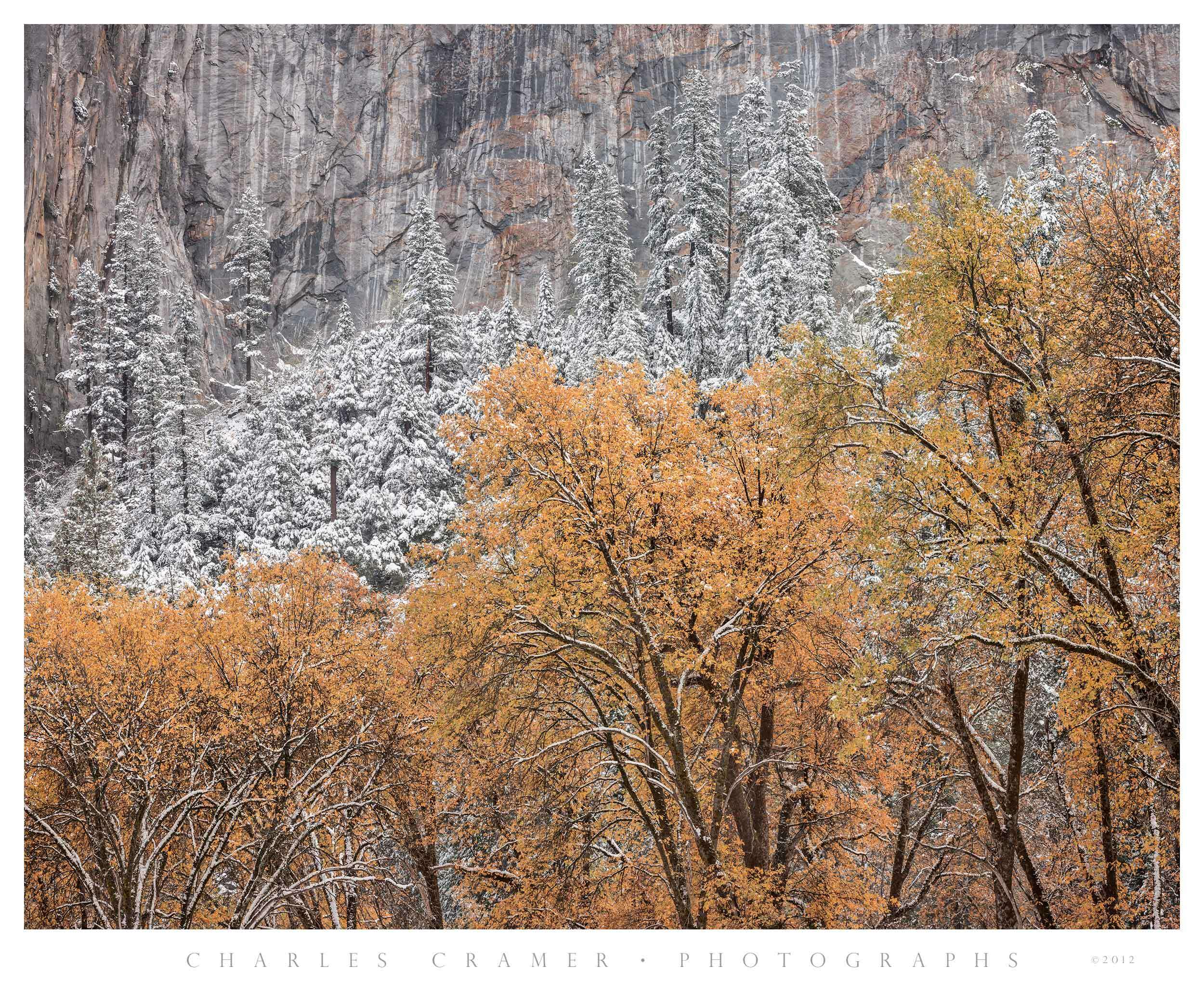 Early Snow, Autumn, Cathedral Cliffs, Yosemite