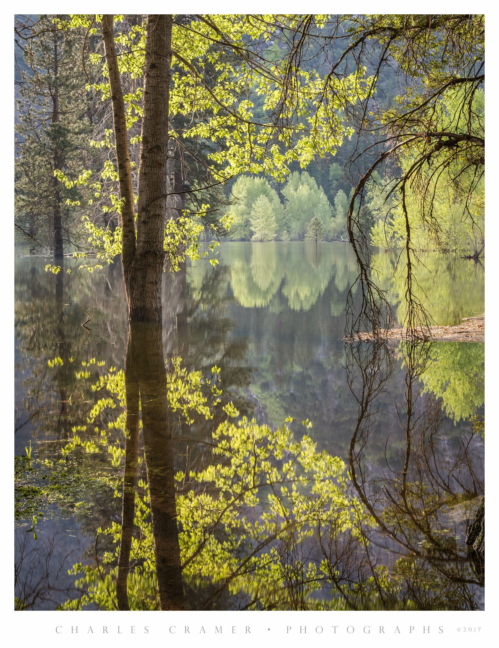 Flooded Meadow, Reflections, Merced, Yosemite